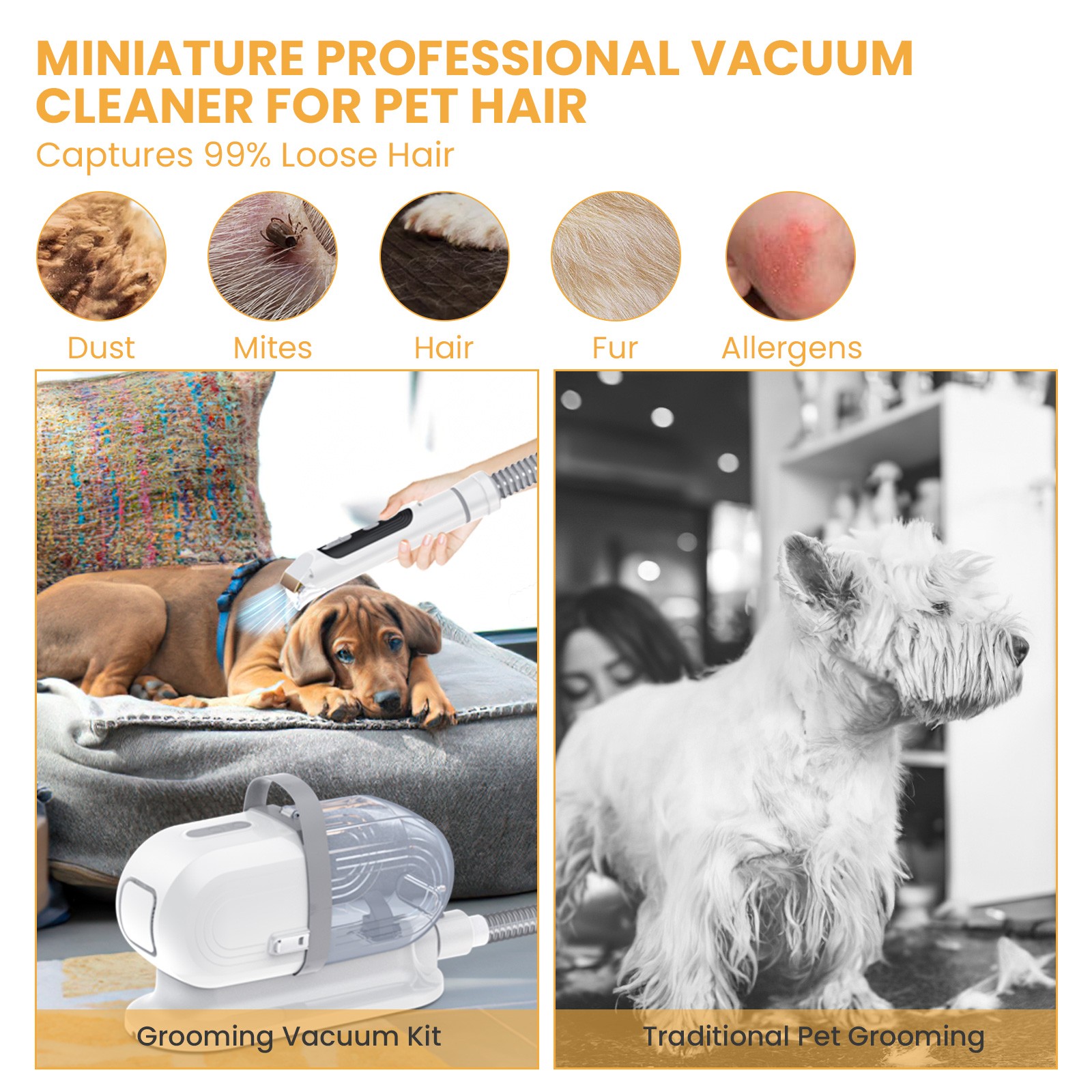 AUOSHI Wireless Pet Grooming Vacuum, 13000Pa, Low Noise, 5-in-1 Kit, 2.5L
