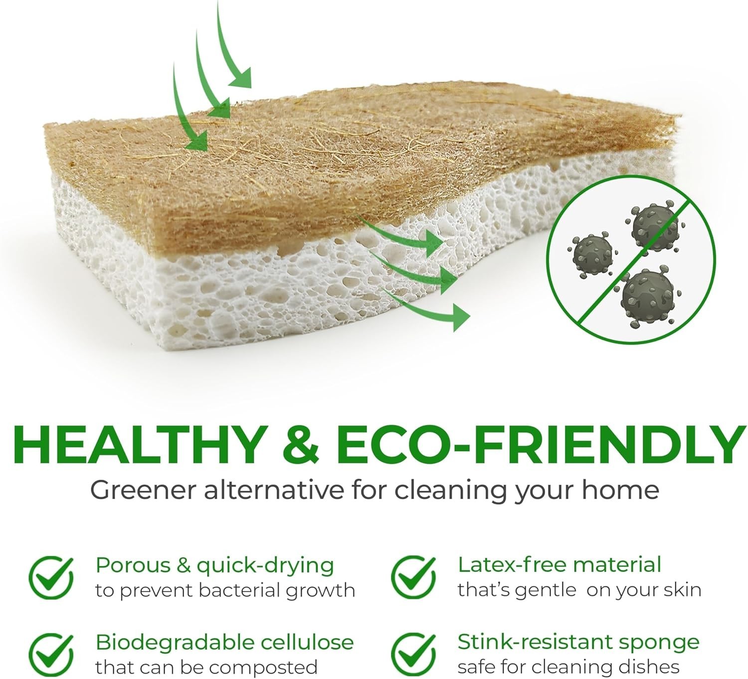Biodegradable Natural Kitchen Sponge – Compostable Cellulose and Coconut Waln…