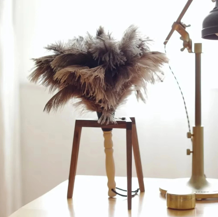 1 pc Feather Duster Ostrich Feather Brush Wooden Handle Cleaning Tool