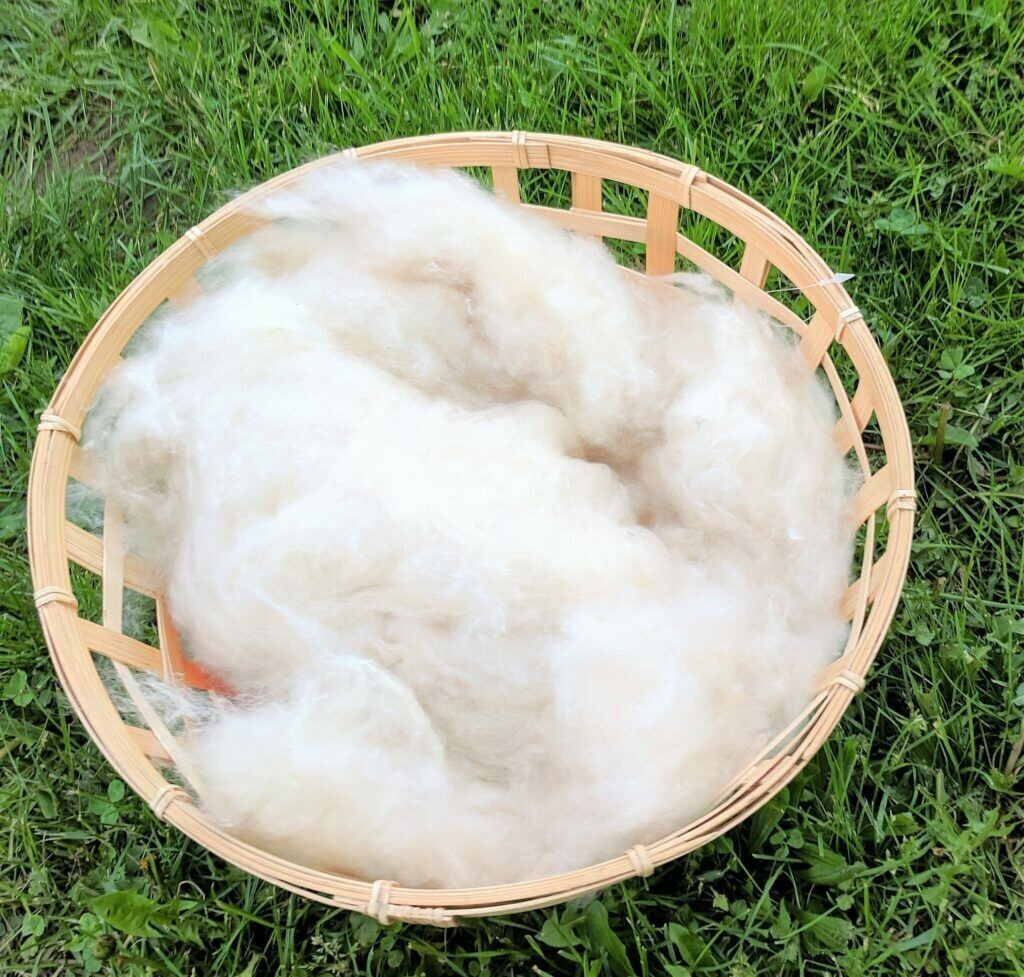 Kapok Fiber – 100% natural Organic – Pillow Fill- Ceylon product-Free Shipping