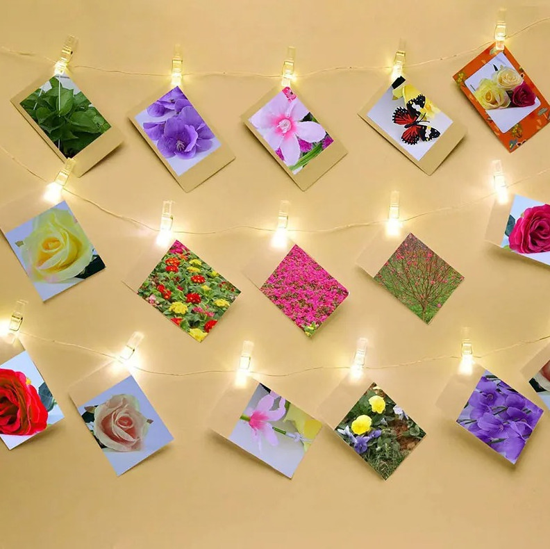 100pcs Transparent Plastic Mini Photo Clips for DIY & Home Decoration – NEW