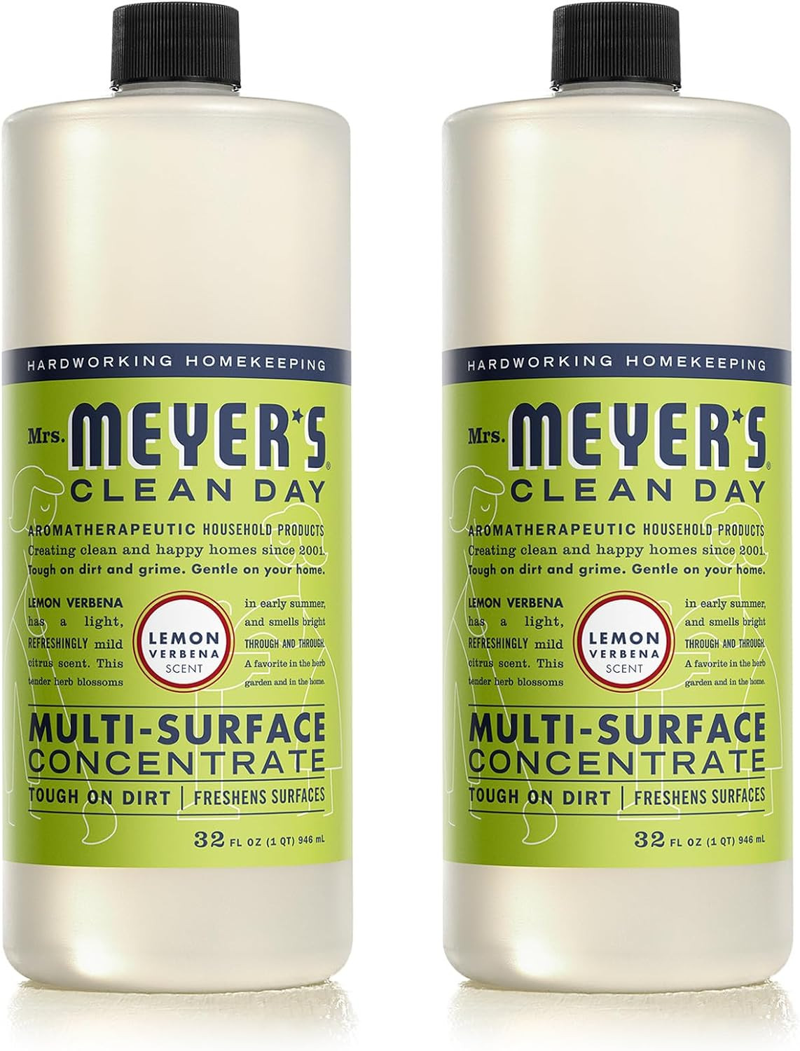 CLEAN DAY Multi-Surface Cleaner Concentrate, Use to Clean Floors, Tile, Counters