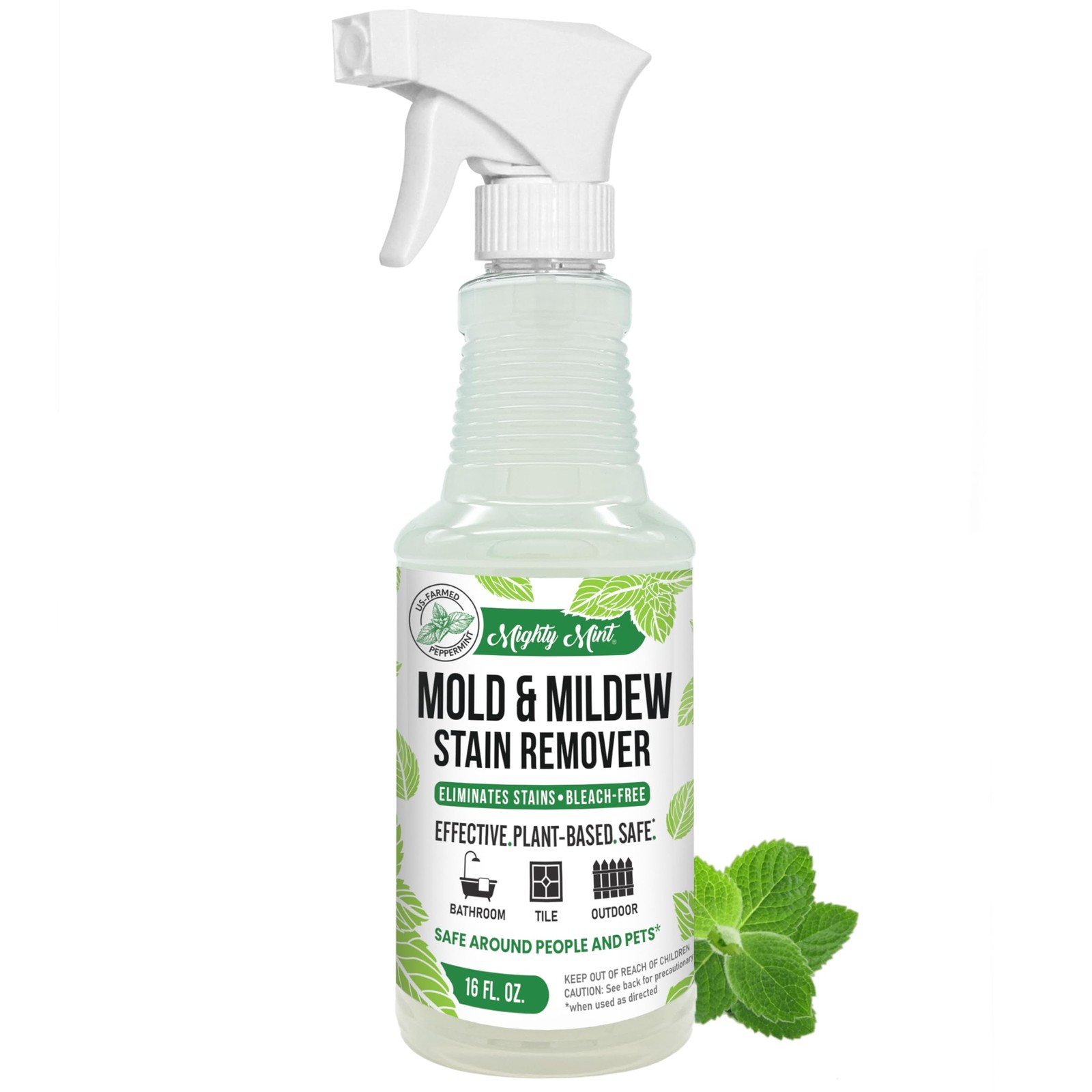Mighty Mint Mold & Mildew Stain Remover Spray, 16 Fl Oz (Pack of 1), Natural
