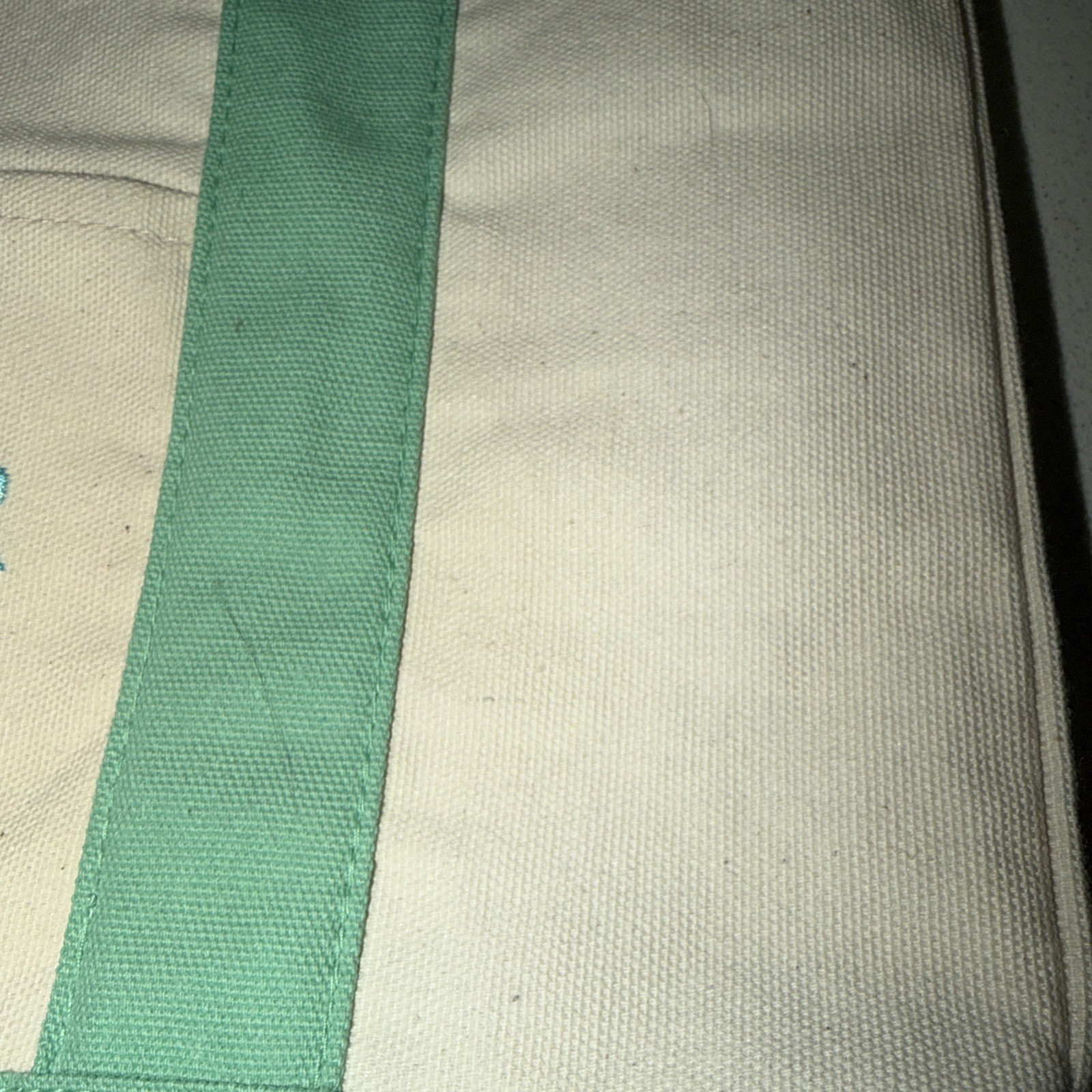 Trader Joe’s 2026 Spring Mini Pastel Mint Green Canvas Tote Bag New But Read