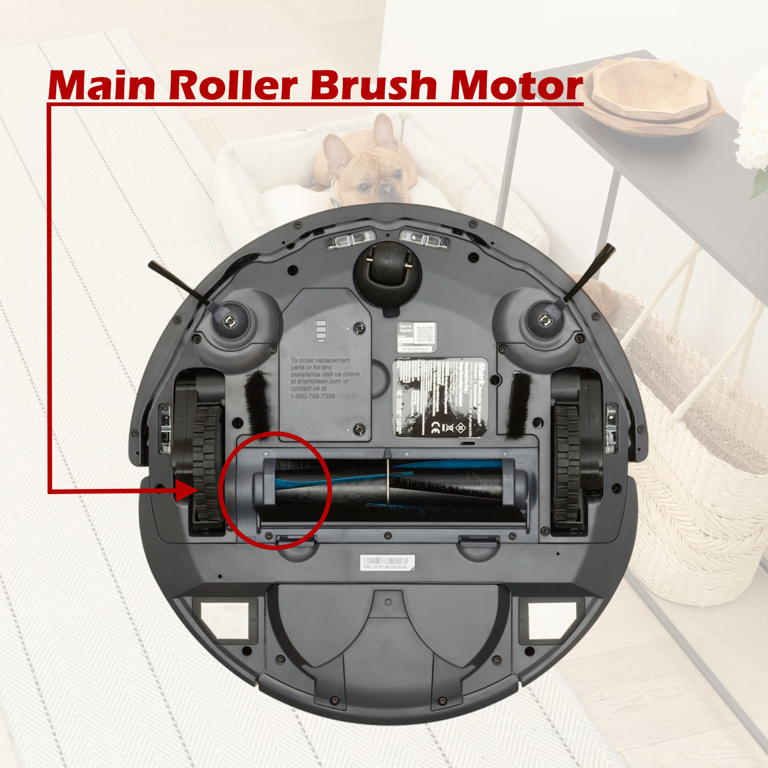 Shark AV2501AE AV2501S RV2502AE RV2520A0US Vacuum Main Roller Brush Motor