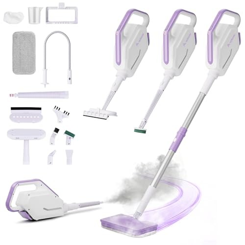 purpose – AAOBOSI Steam Mop Detachable Handheld Steamer 350ml Tank 11 Multi