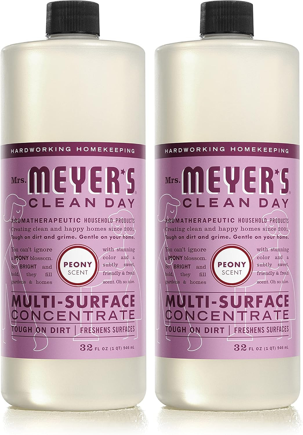 CLEAN DAY Multi-Surface Cleaner Concentrate, Use to Clean Floors, Tile, Counters