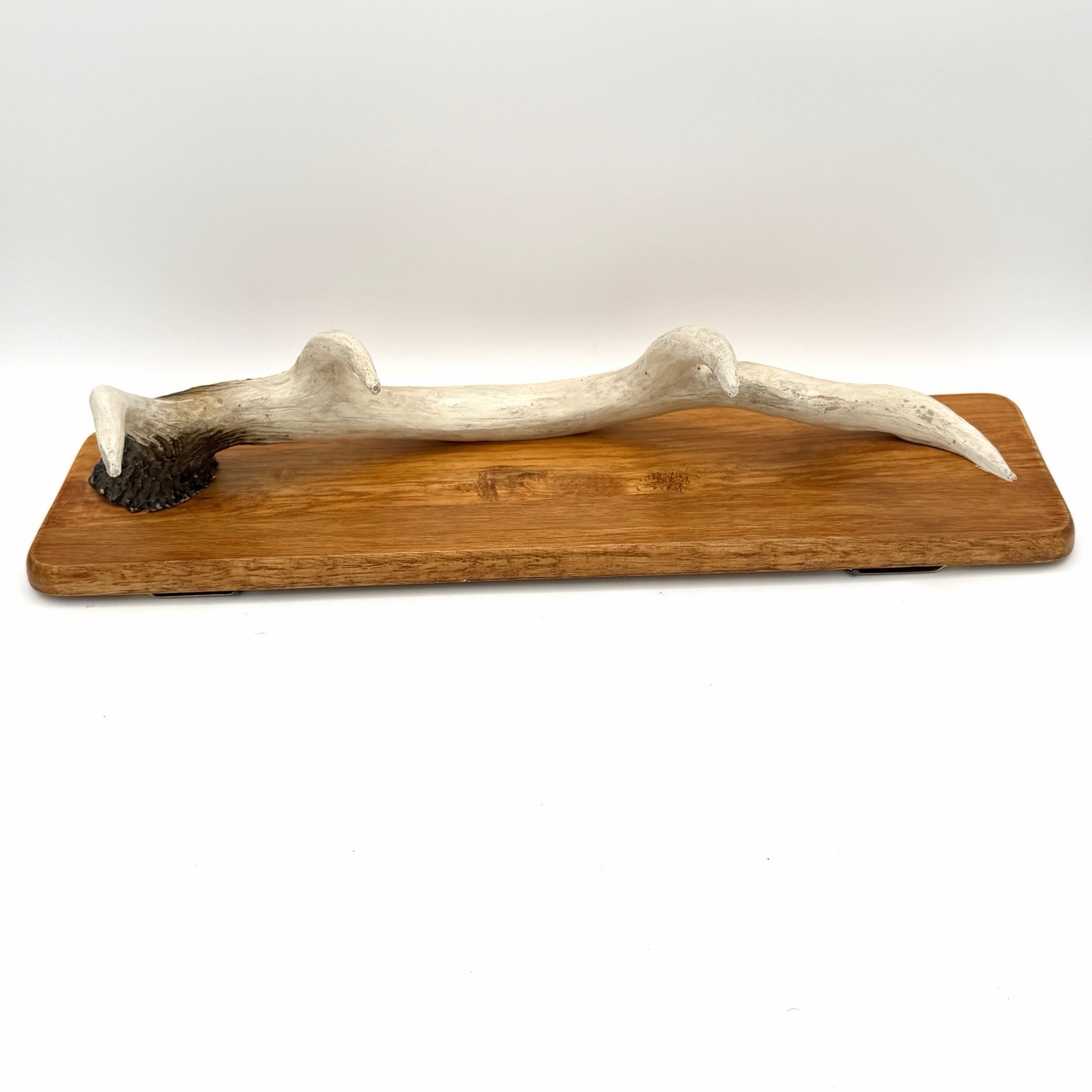 Rustic White Tail Deer Antler Wall Mounted Coat Hat Rack On Wood 17.5 X 4 Inch