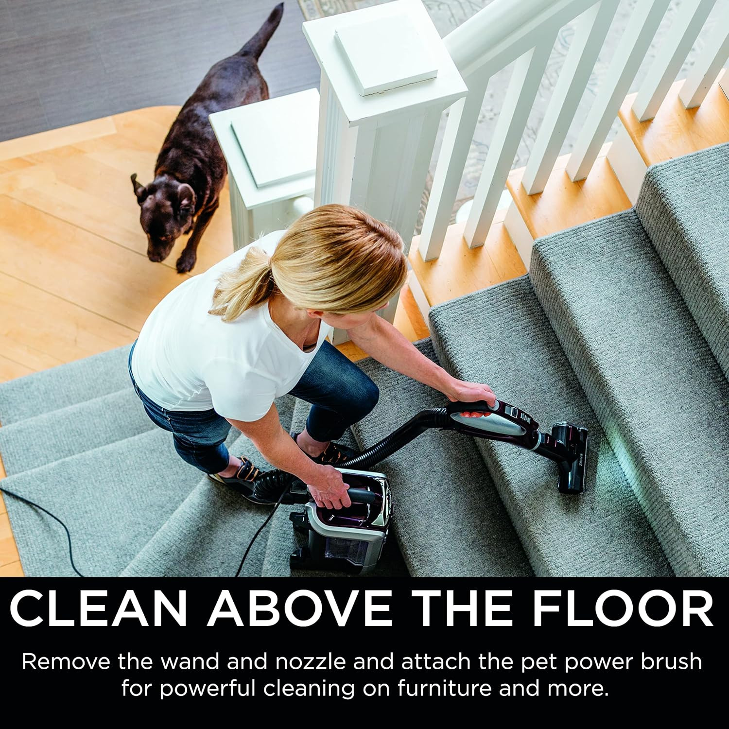 NV752 Rotator Powered Lift-Away Truepet Upright Vacuum with HEPA Filter, Large D