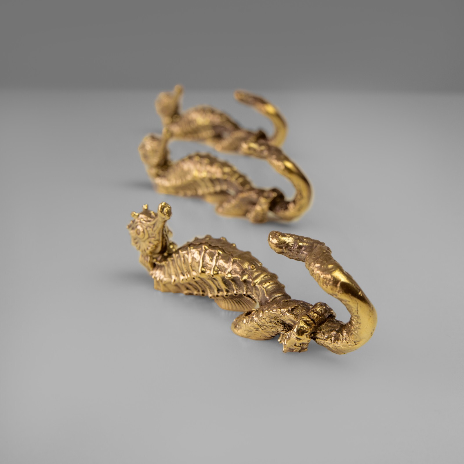 Brass seahorse hook. Strong and durable, perfect for bathroom towels