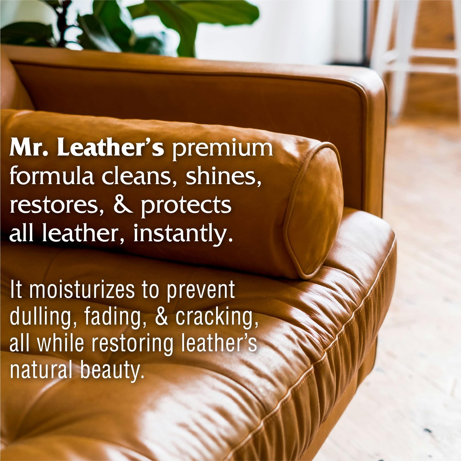Cleaner and Conditioner – Safe for All Leather & Vinyl – Hydrate and Shine wi…