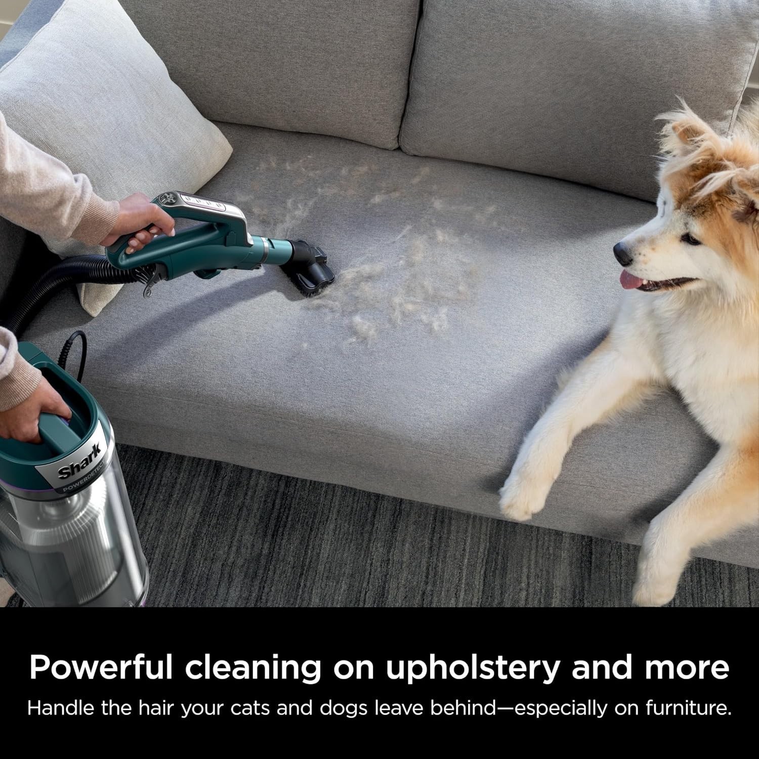 Shark Navigator Upright Carpe tVacuum Cleaner with Self-Cleaning Brushroll CU530