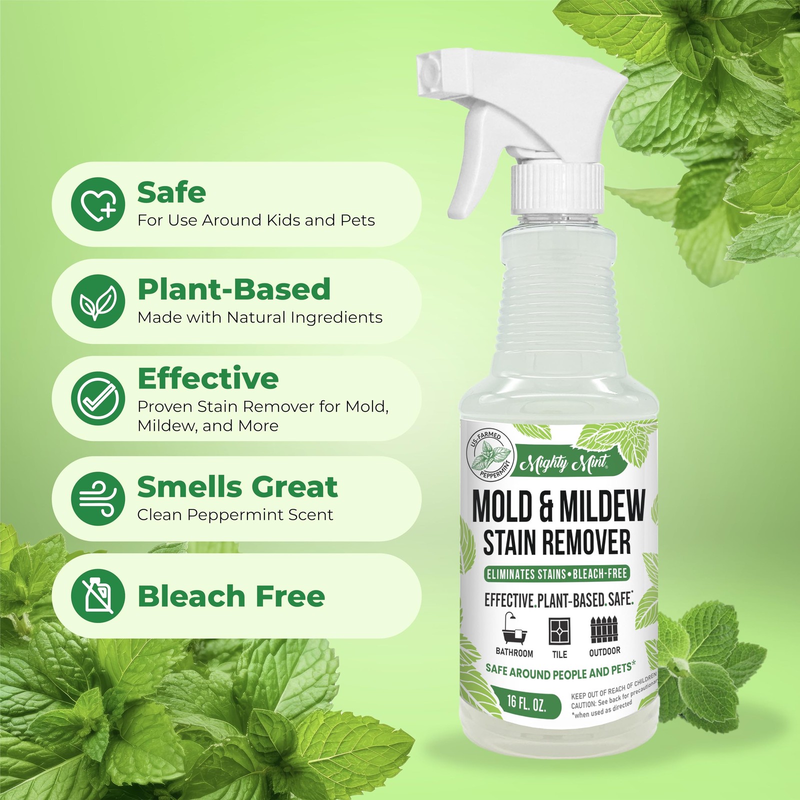 Mighty Mint Mold & Mildew Stain Remover Spray, 16 Fl Oz (Pack of 1), Natural