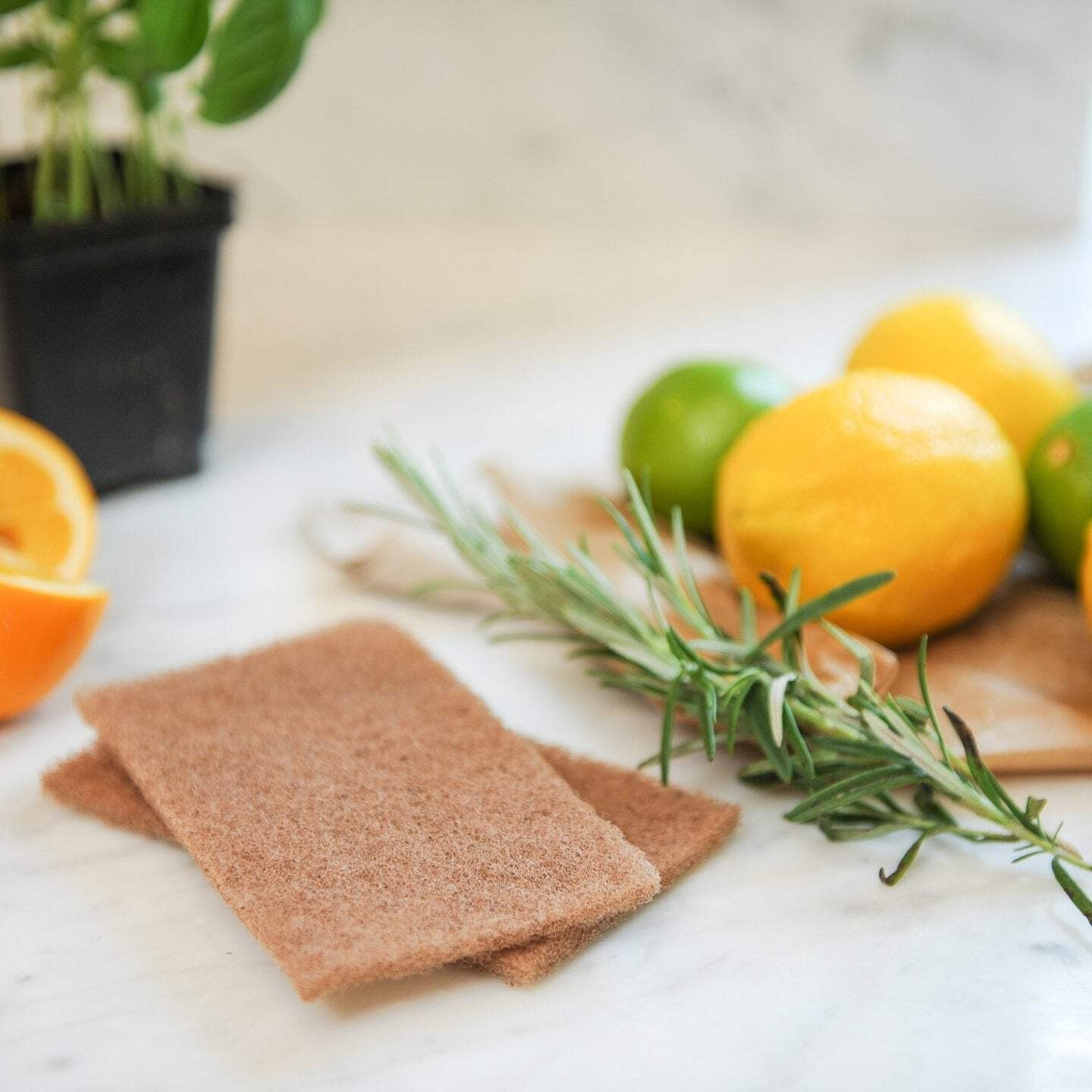 ALL PURPOSE Tea Tree Blend | tea tree + citrus + eucalyptus | Set of TWO