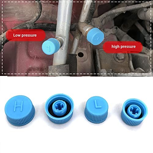 10 Pack R134A Valve Core Caps Replacement Car A/C Refrigerant Port Cap