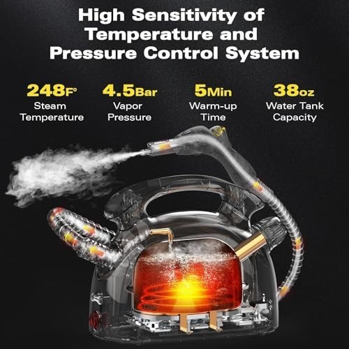 Waitbird Steam Cleaner,Multi-Purpose Steam cleaner | with 21 Accessories|248 F H