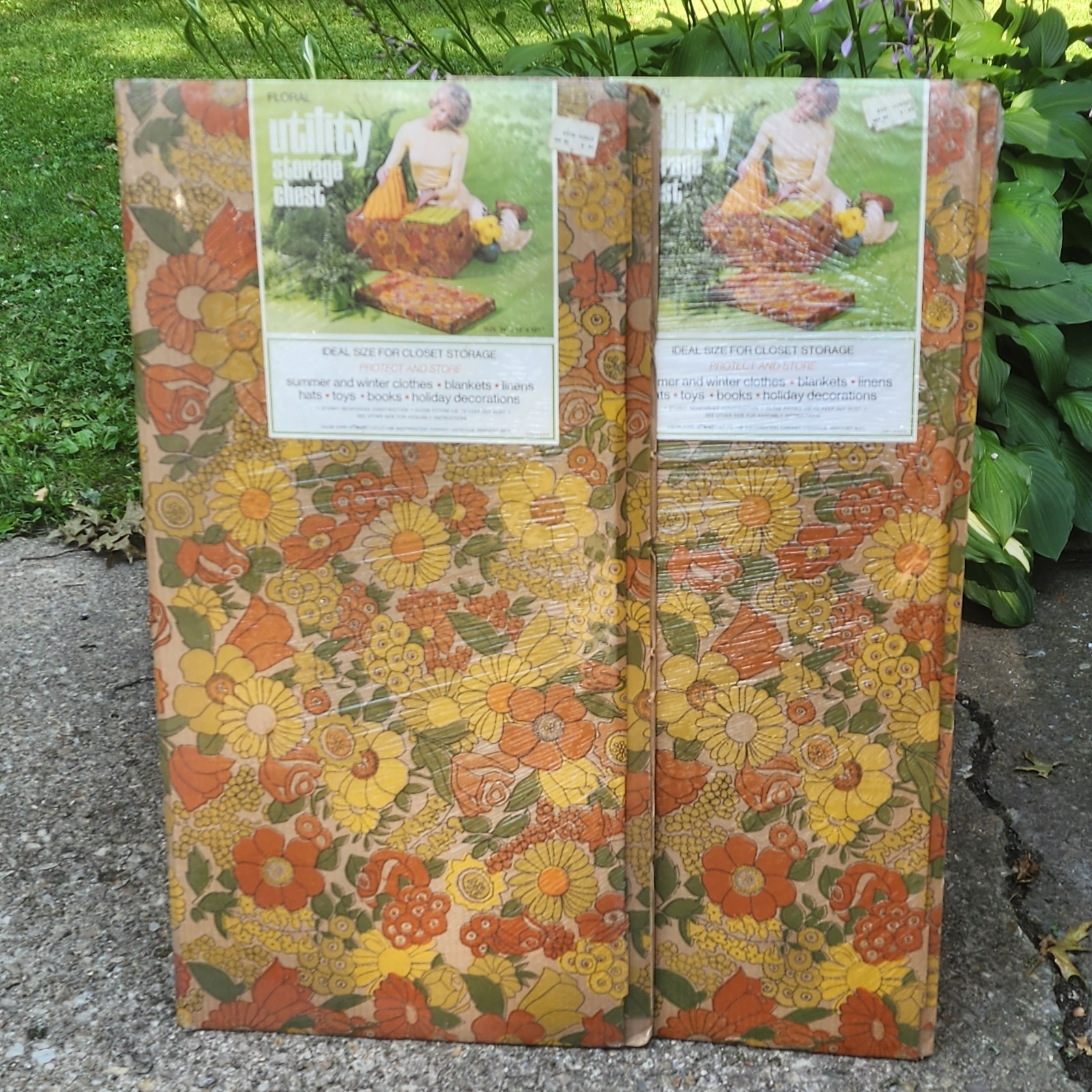 Vtg Mid Century Floral Cardboard Under Bed Storage Chest Mod Flower Power Sealed