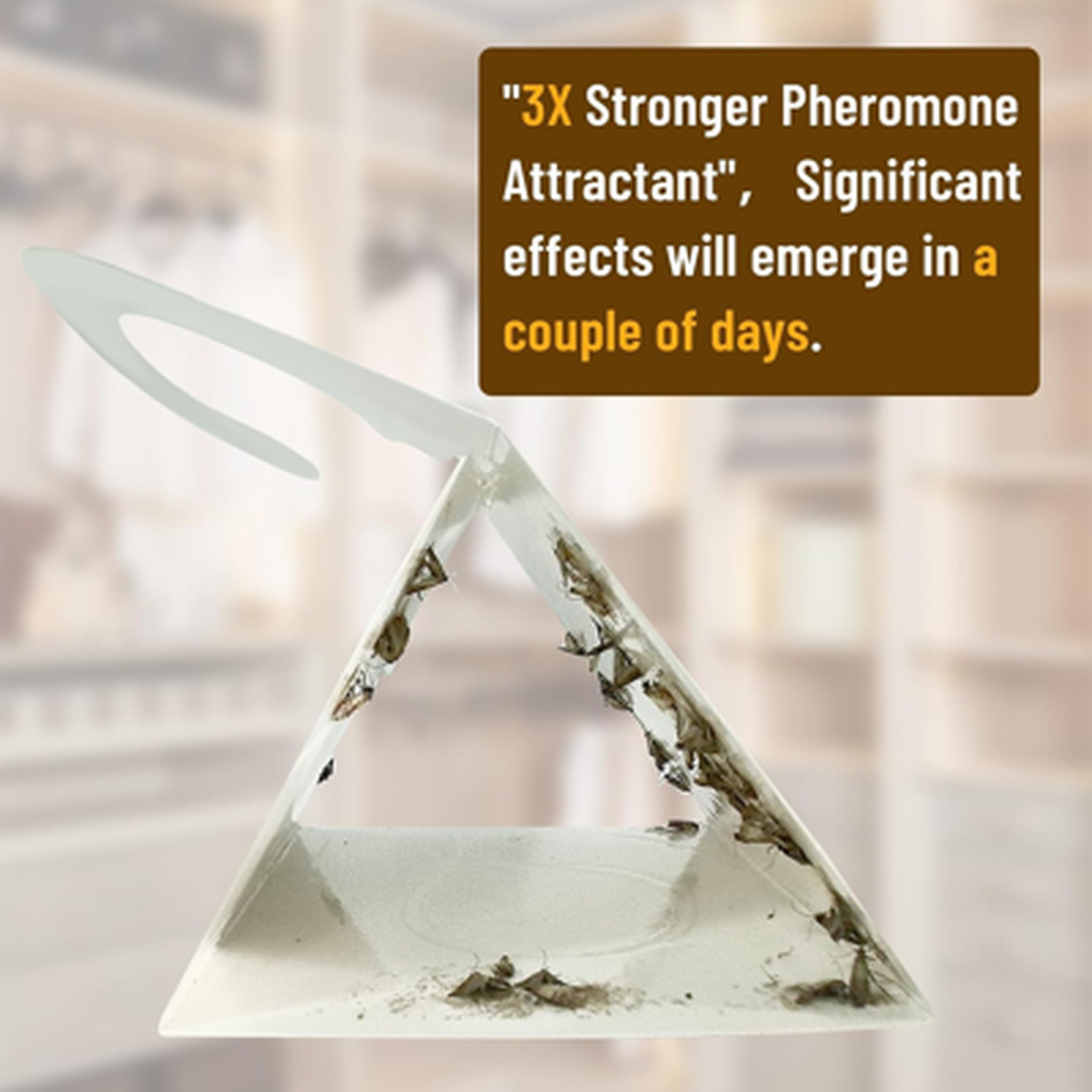 Cloth Moth Trap Pheromone Attractant Odorless Non-Toxic Sticky Strips for Closet