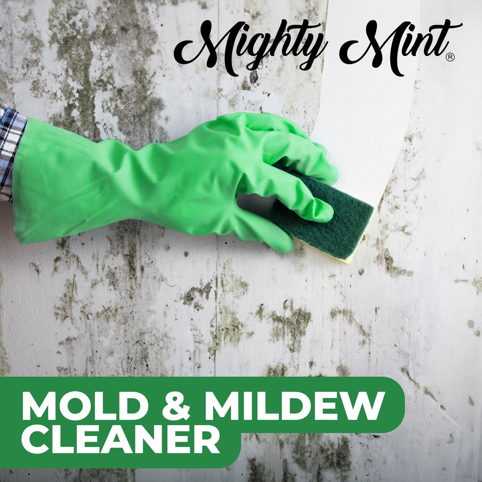 Mighty Mint Mold & Mildew Stain Remover Spray, 16 Fl Oz (Pack of 1), Natural