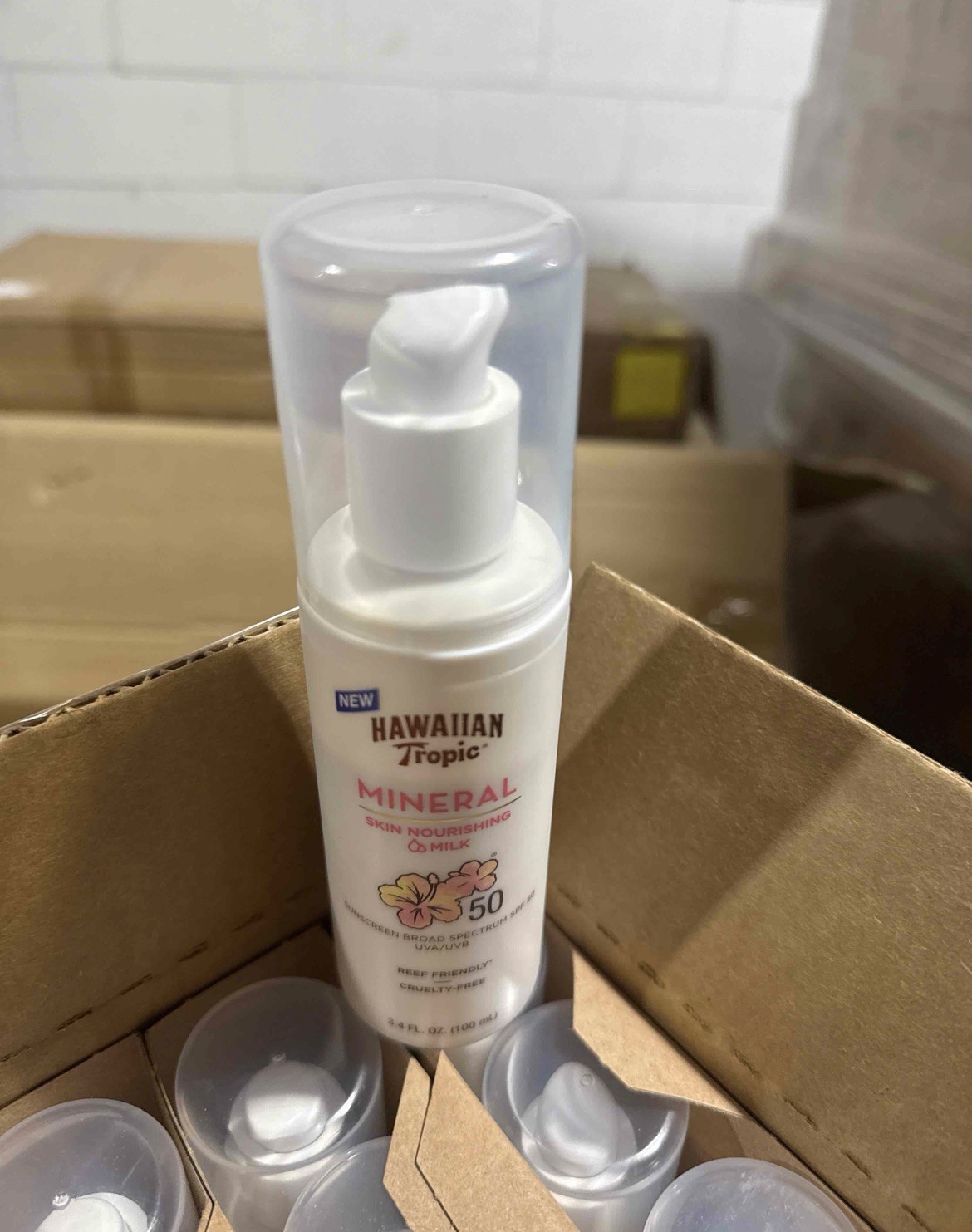 Cool Grab Bag of Miscellaneous Treasures NEW Household and Personal Items