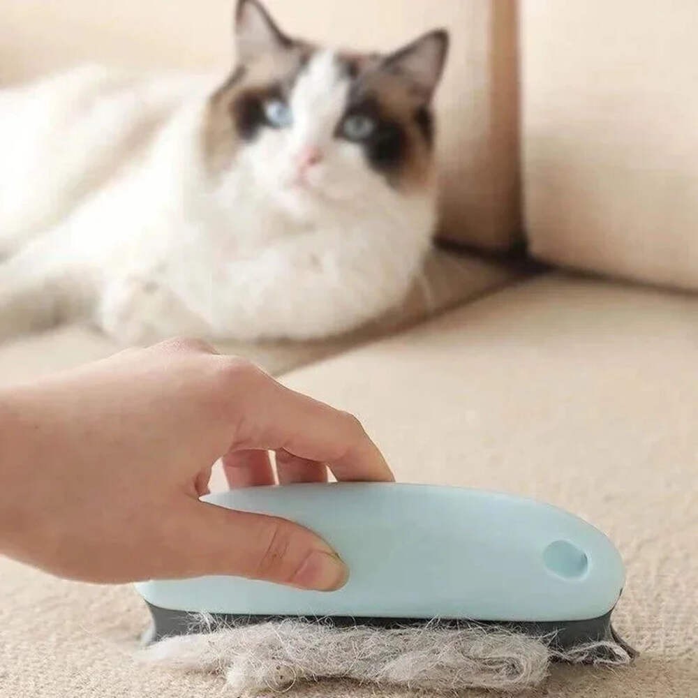 Pet Hair Removal Brush for Automotive Detailing/Household Cleaning