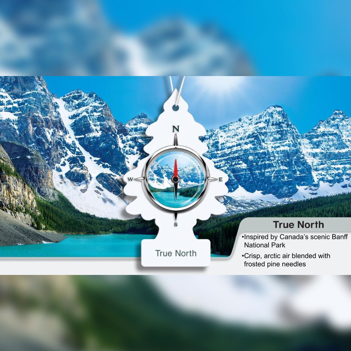 Little Trees True North Hanging Air Freshener Home Car 6-12-24-48-96-144 pc