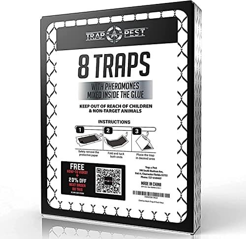 Clothing Moth Traps – 8 Pack – Non Toxic Moth Traps for Clothes with Pheromone A