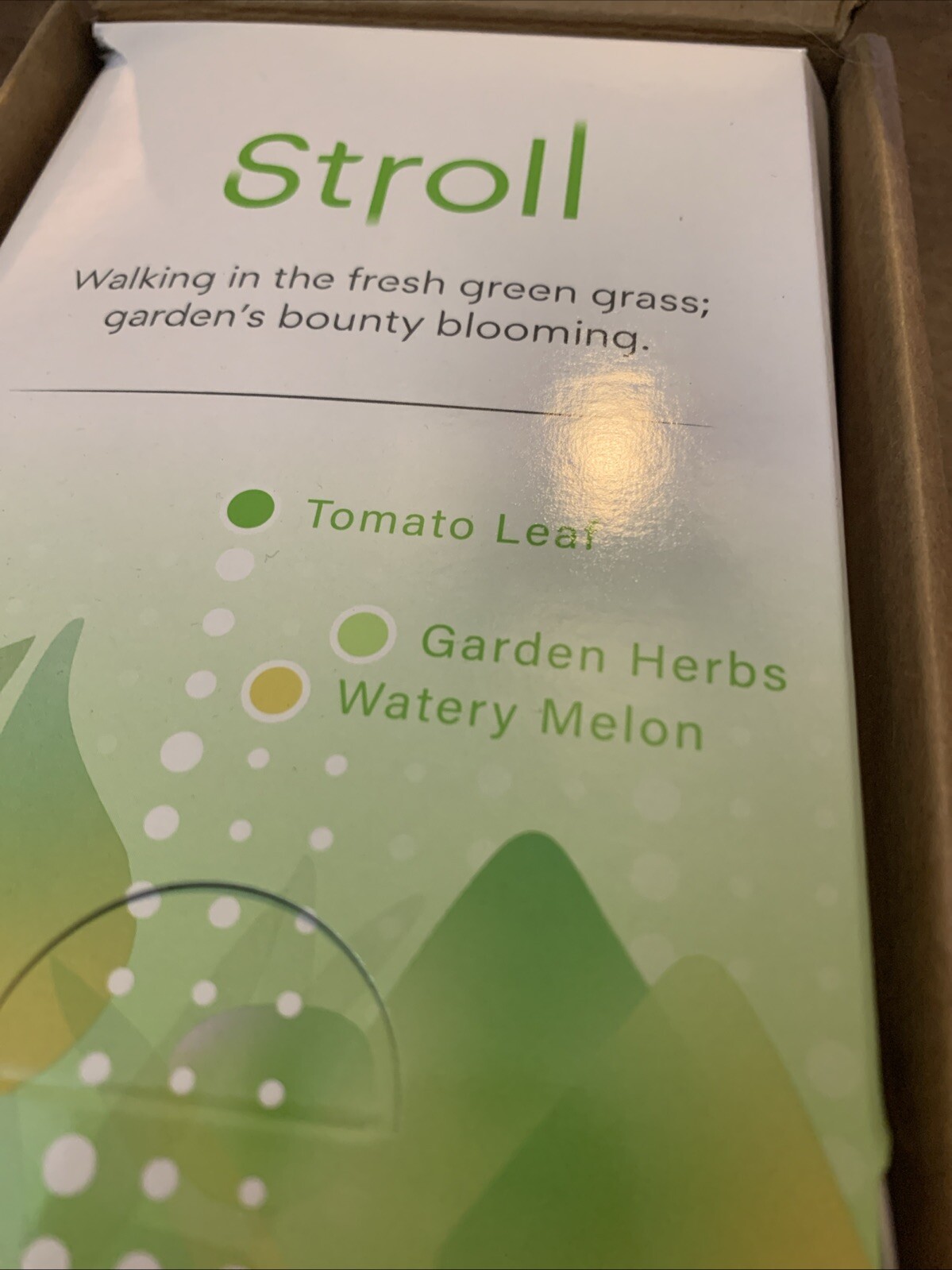 Glade True Diffusing Mist Room Fragrance Spray “Stroll” Mist 1fl