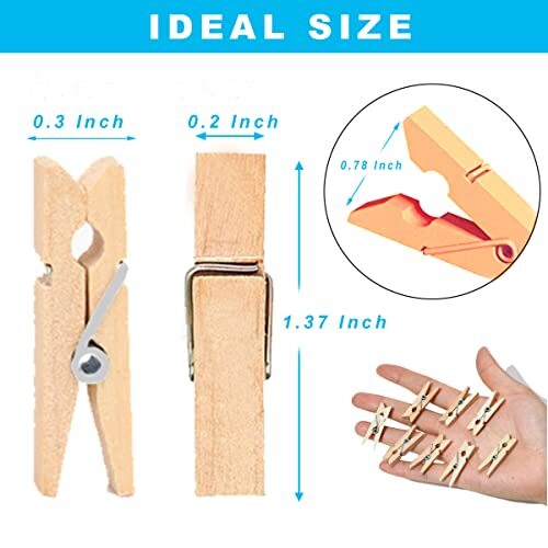 1.35 Inch Mini Clothes Pins for Photo【100 Pcs】 with 32 Natural Color 100 Pcs