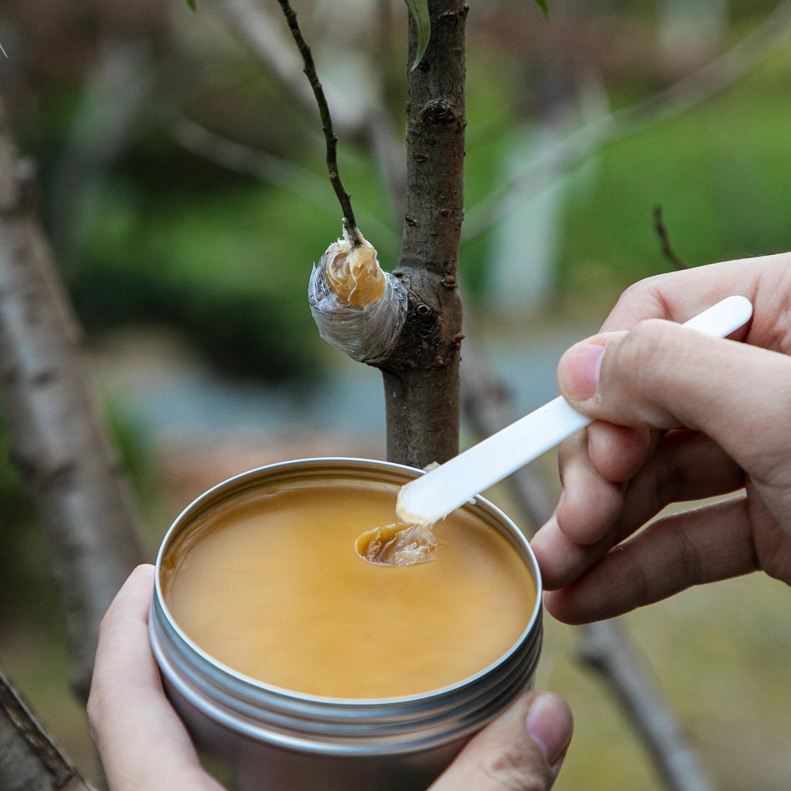 Tree Grafting Wax Set Tree Wound Pruning Sealer with Sealing Tape