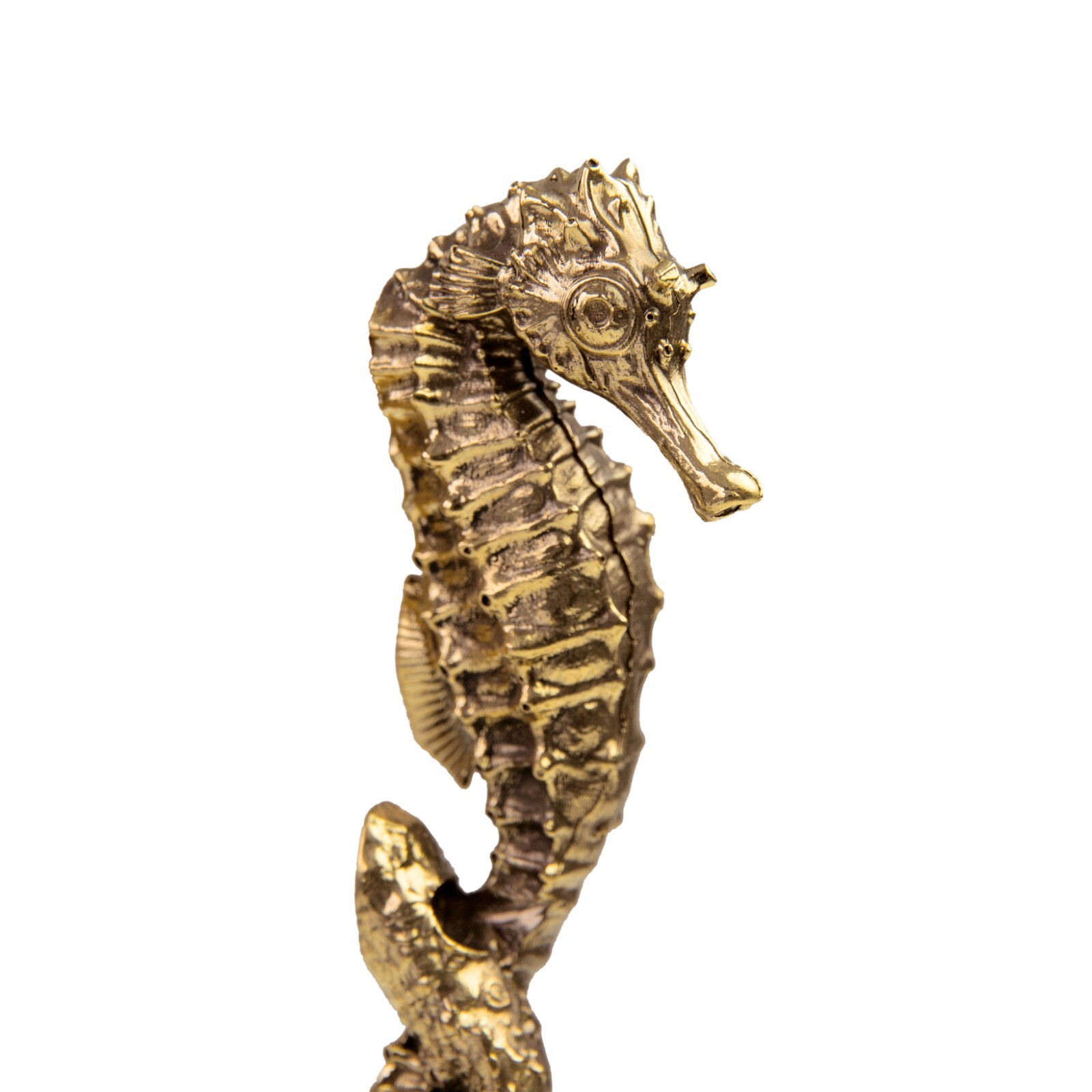 Brass seahorse hook. Strong and durable, perfect for bathroom towels