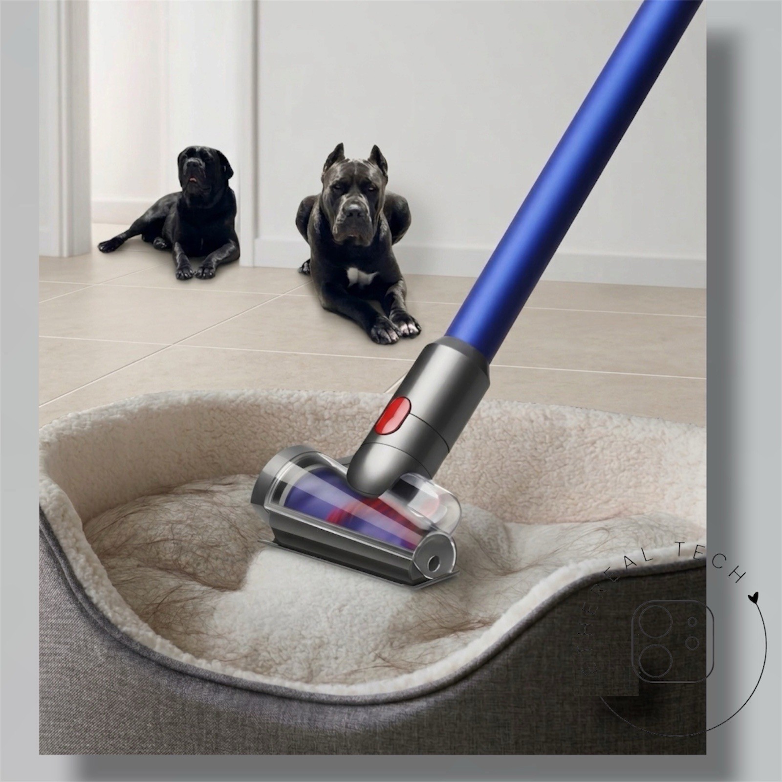 ✨Dyson V11 Cordless Stick Vacuum Nickel/Blue with 6 Accessories LCD Screen
