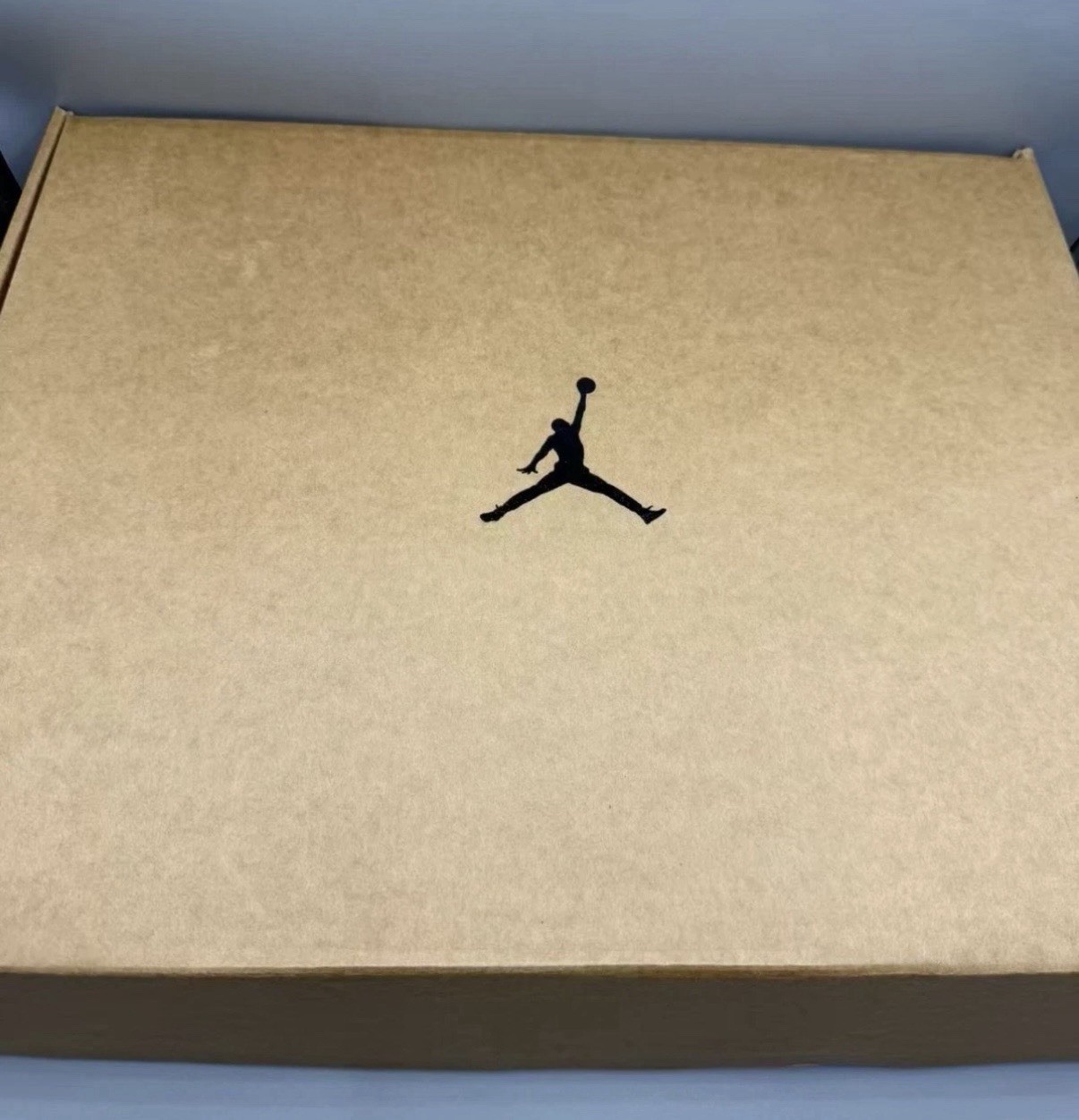 NIKE JORDAN AIR Black Plastic Shoe Box One Piece SNEAKER CASE ASIA EXCLUSIVE