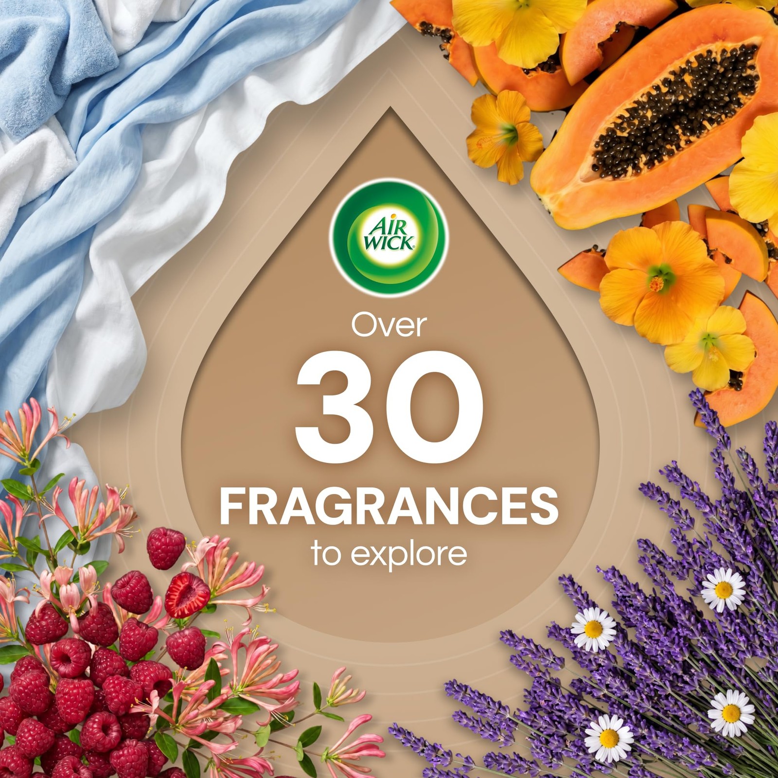 Air Wick Plug-In Scented Oil Refills, 10 1 Count (Pack of 10), Transparent