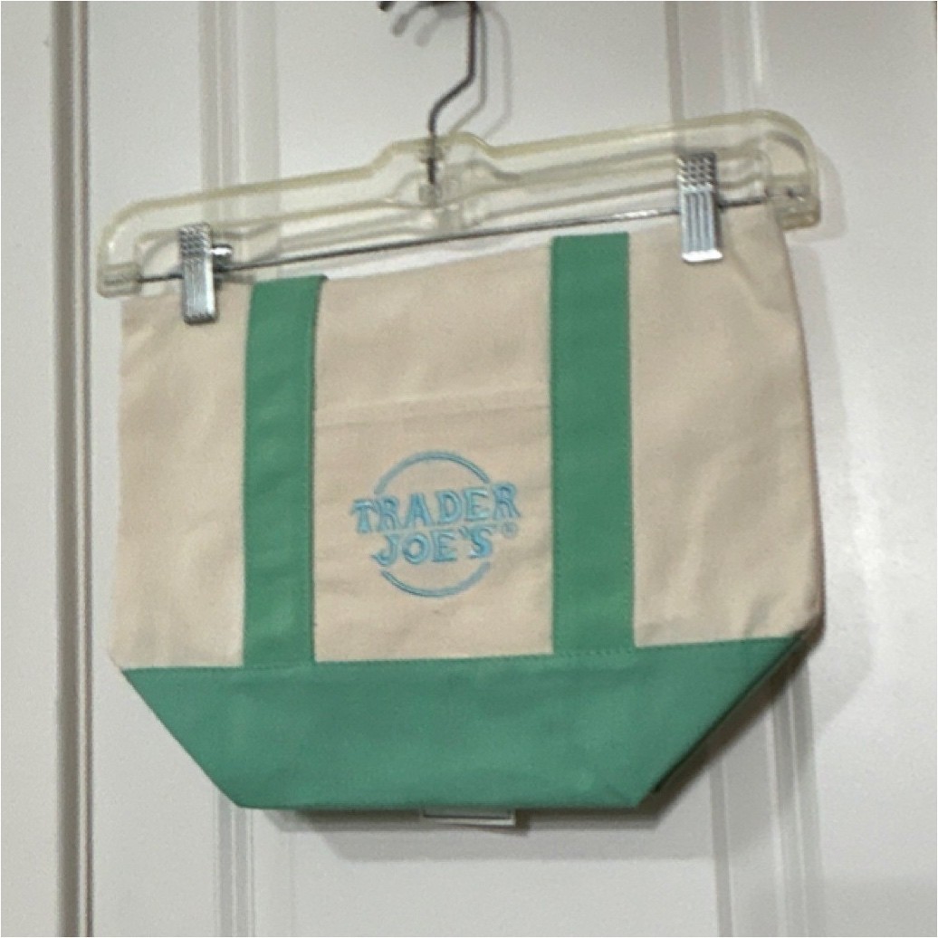 Trader Joe’s Mini Pastel Canvas Foldable Tote Bag Cotton Polyester Beige Green