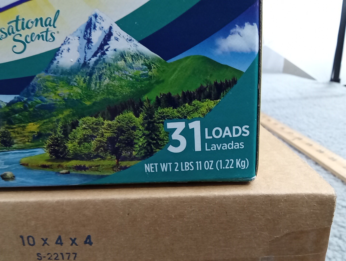 SUN Bleach Powder Laundry Detergent 31 Loads 2 Lbs 11 Oz Mountain Fresh