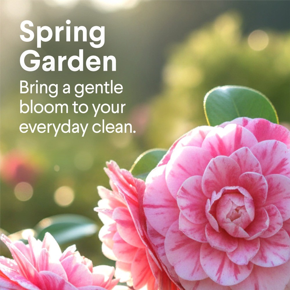 Clorox All Purpose Cleaner, Bleach Free, Spring Garden, 32 fl oz