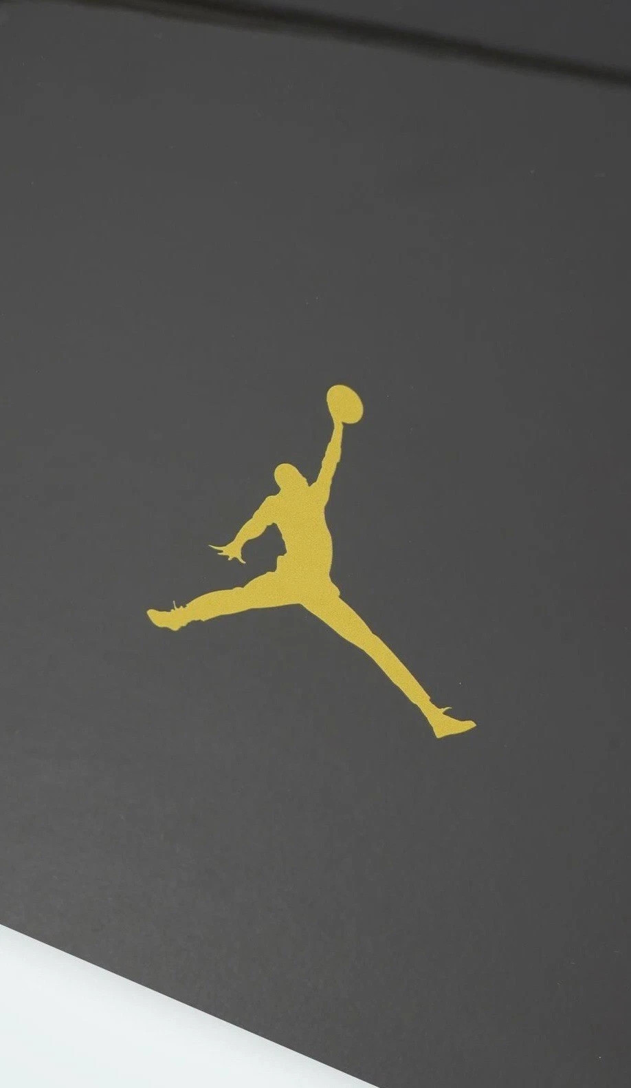 NIKE JORDAN AIR Black Plastic Shoe Box One Piece SNEAKER CASE ASIA EXCLUSIVE