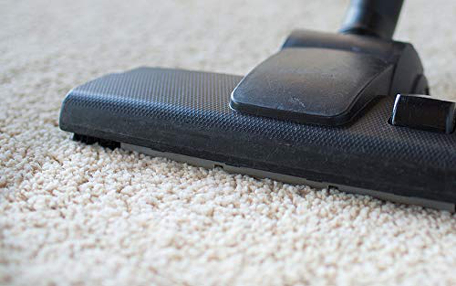 Capture Carpet Dry Cleaning Kit 400 – Deodorize Clean Stains Smell Moisture f…