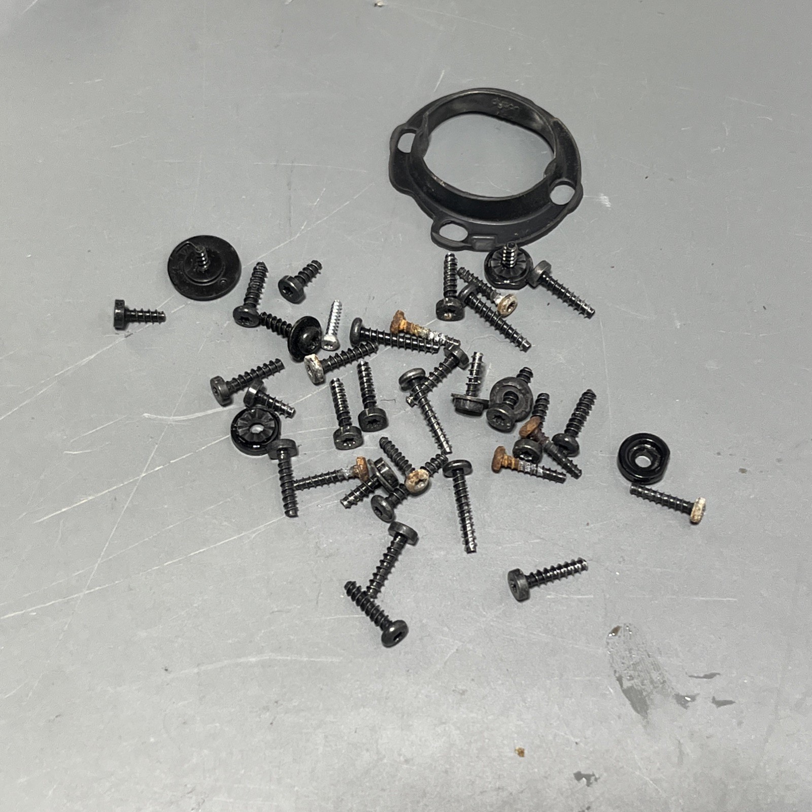 Dyson Dc24 Ball Hardware screws Etc Miscellaneous