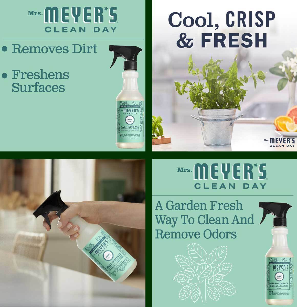Mrs Meyers Multi-Surface Every Day Spray Cleaner Mint Scent – 16 Oz – Pack of 3