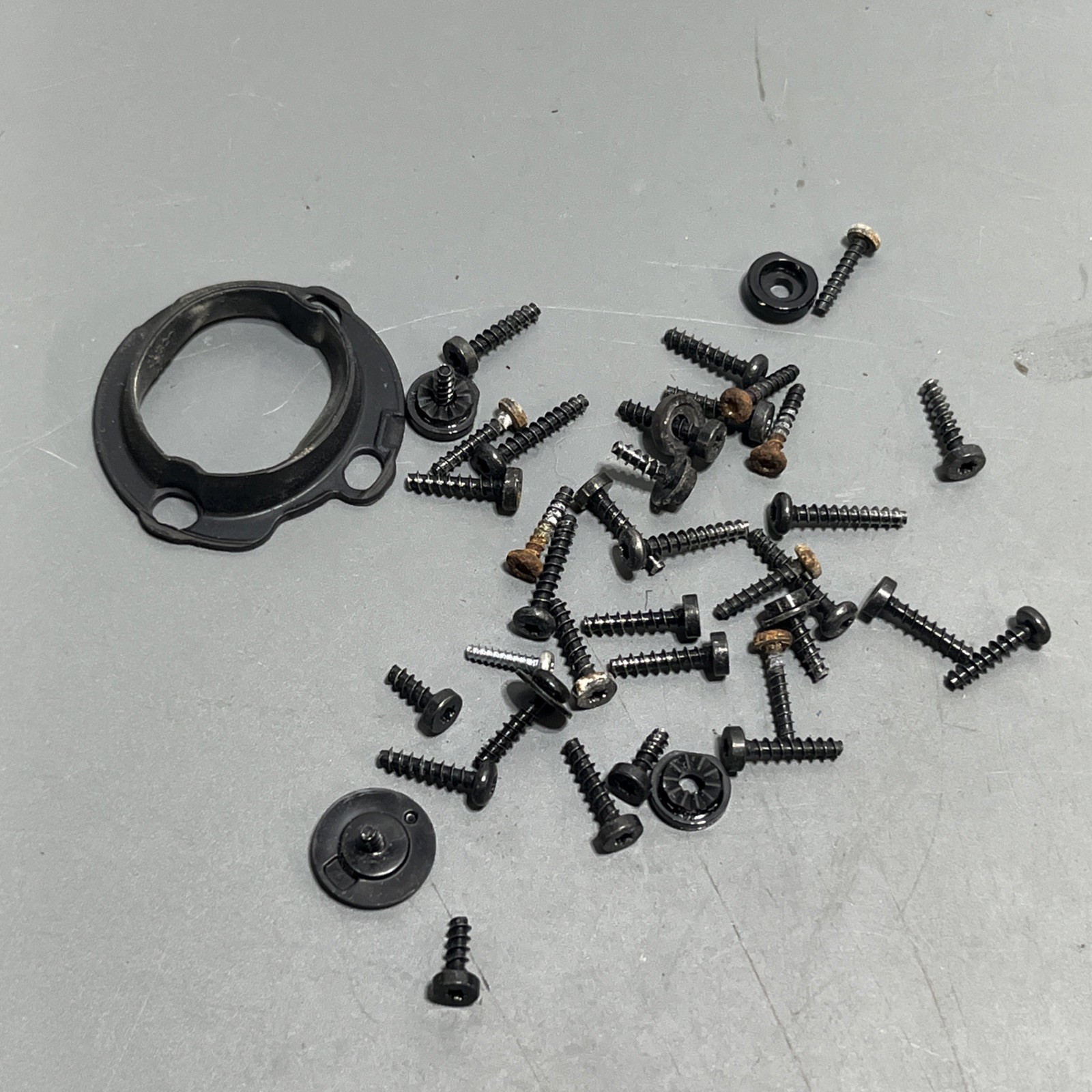 Dyson Dc24 Ball Hardware screws Etc Miscellaneous