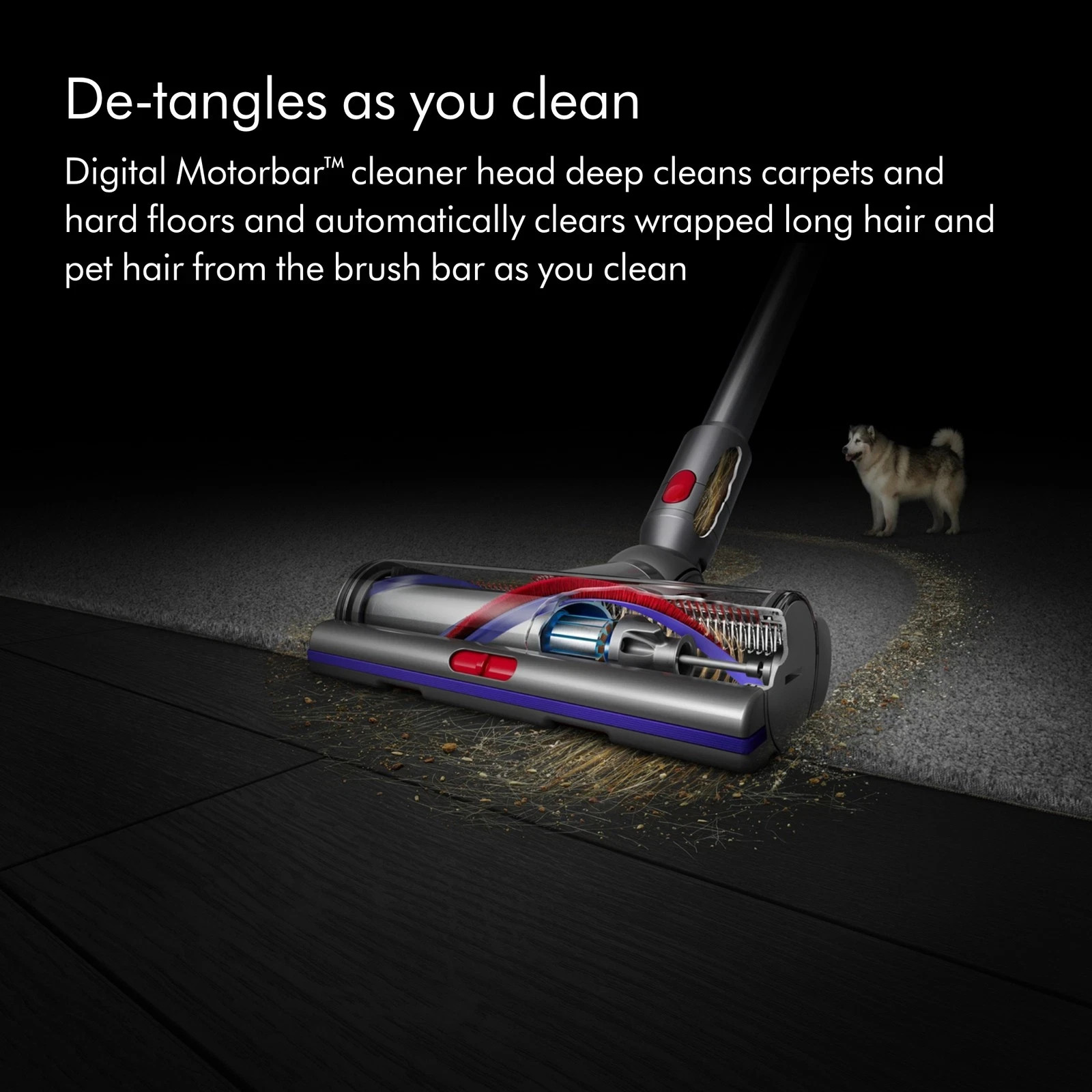 Dyson V15 Detect Total Clean Extra | Yellow/Nickel