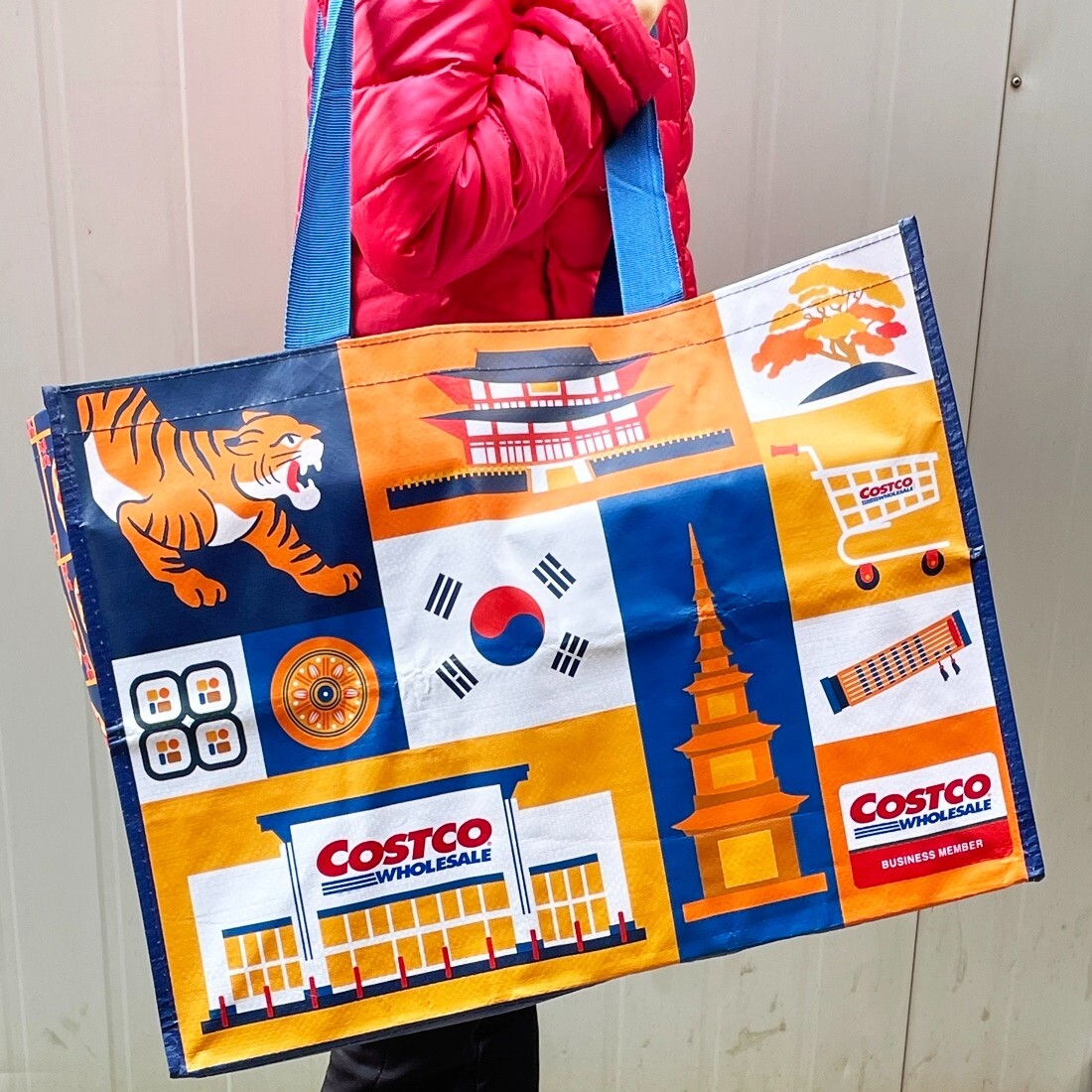 Costco Wholesale Reusable Basket Large Shopping bag Trend Design Brand NEW