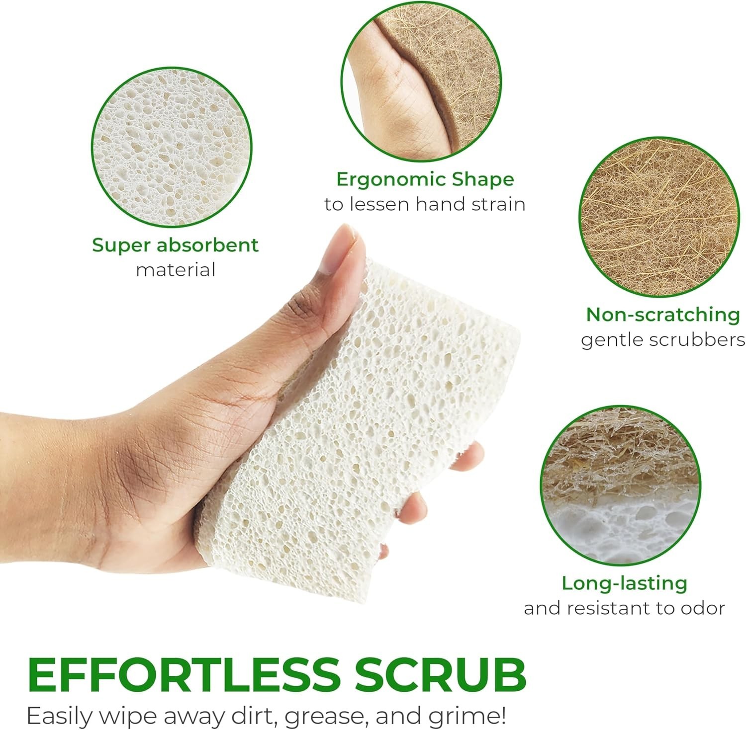Biodegradable Natural Kitchen Sponge – Compostable Cellulose and Coconut Waln…