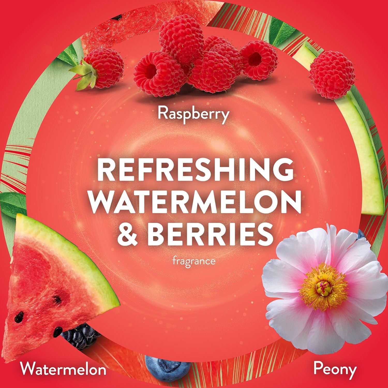Air Wick Plug In Scented Oil Air Freshener, Refreshing Watermelon & Berries, 1