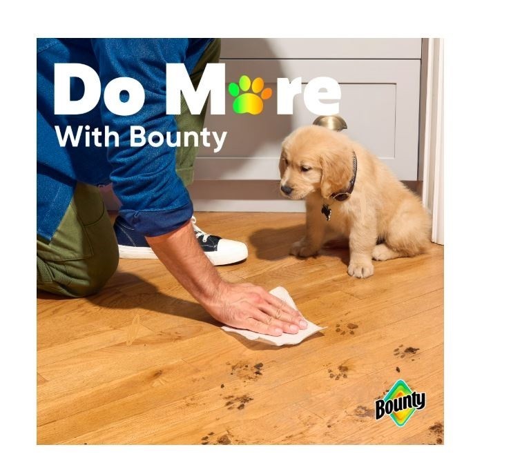 Bounty Select-A-Size Paper Towels, White, 12 Double Rolls = 24 Regular Rolls