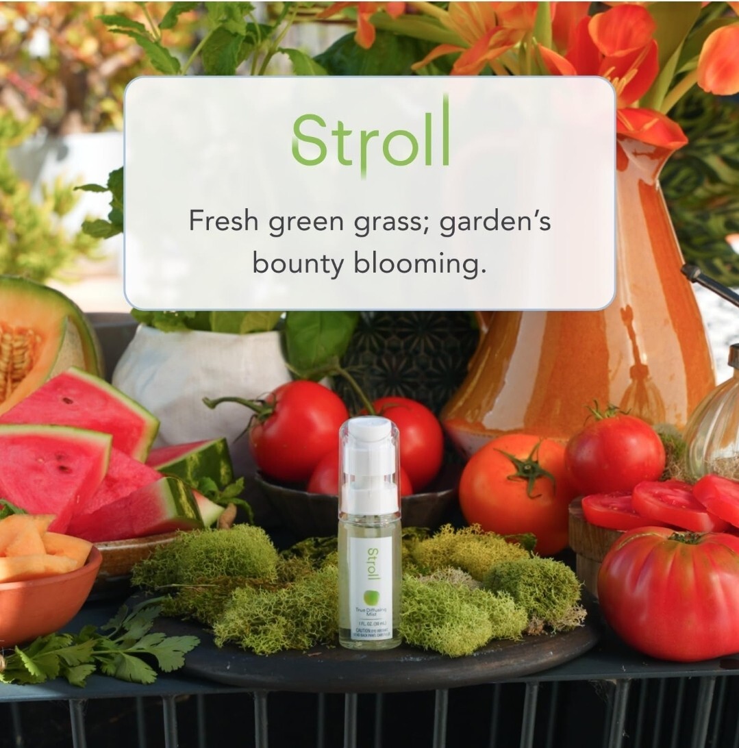 Glade True Diffusing Mist Room Fragrance Spray Stroll mist 1fl