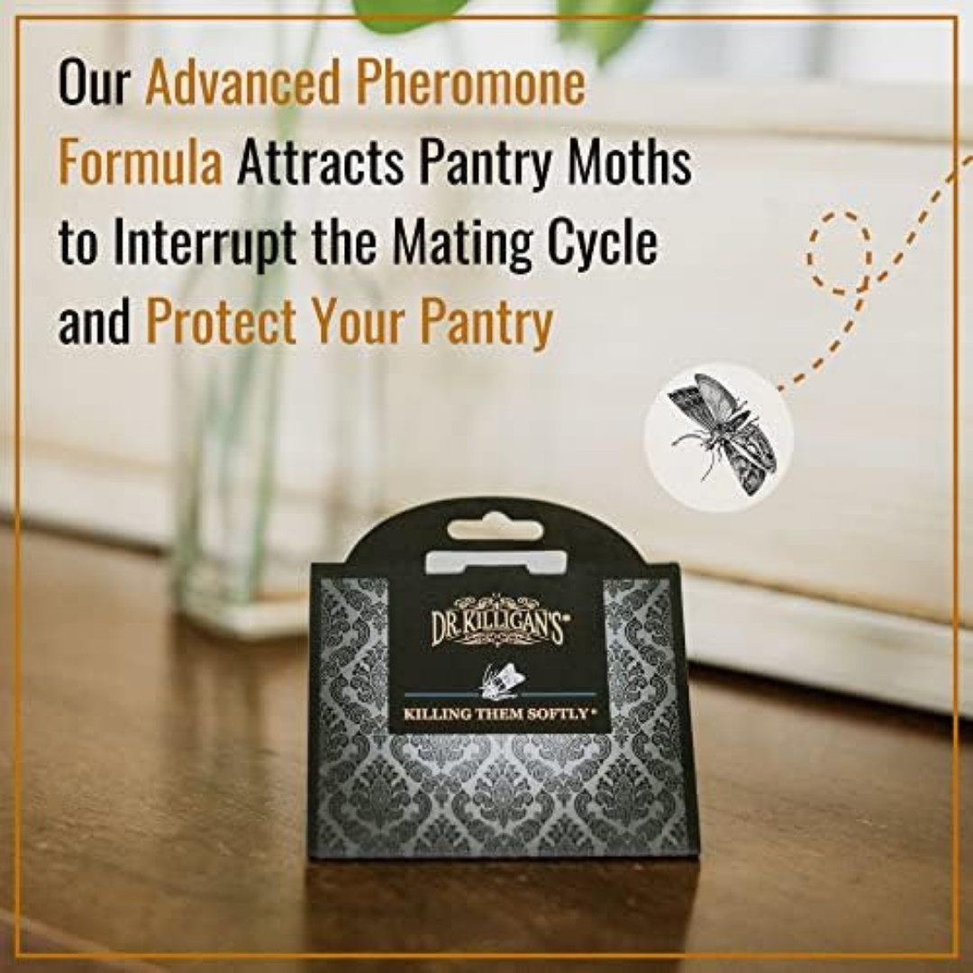 Dr. Killigan’S Premium Double Potent Pantry Moth Traps with Pheromones Prime, St