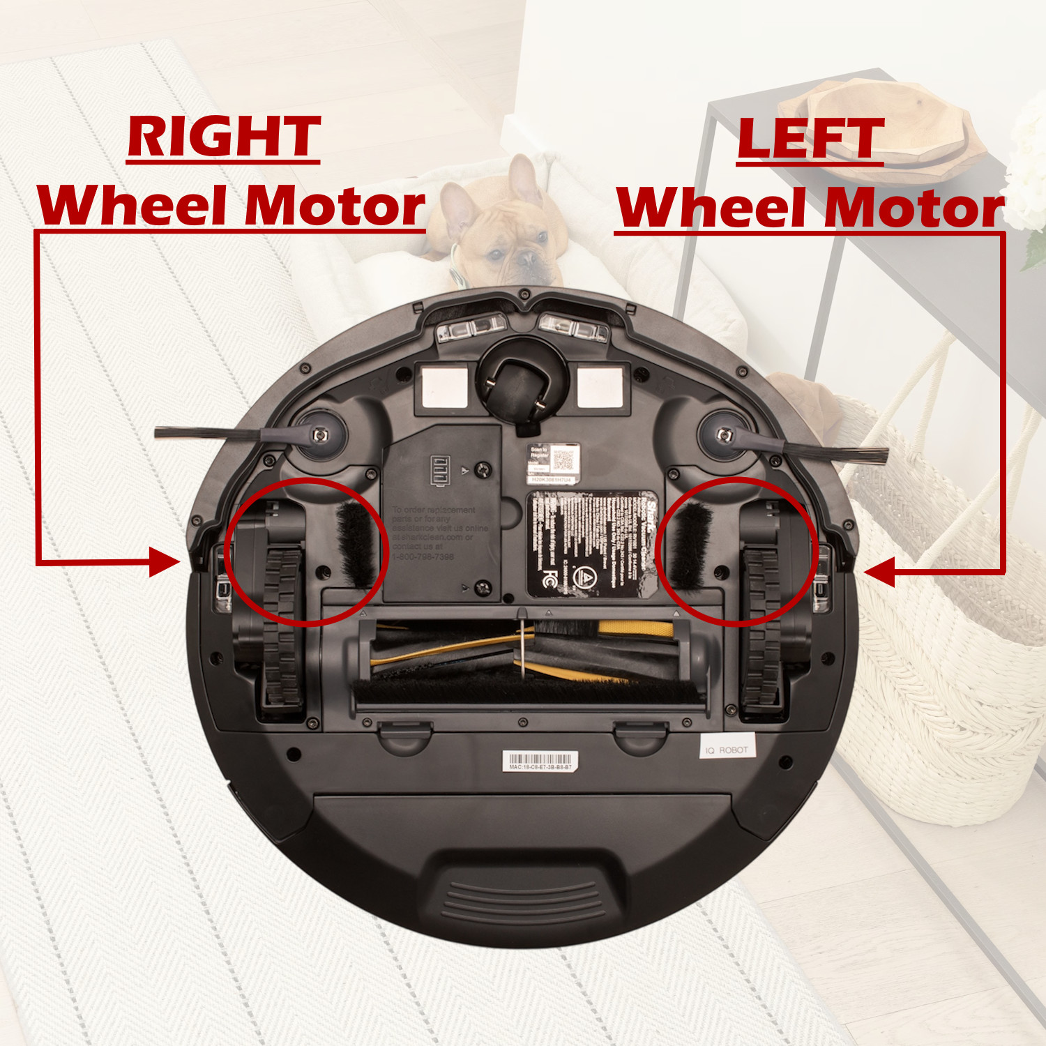 Shark Vacuum UR1105ARUS UR1100SRUS RV1101ARUS Left Wheel Assembly w/Motor